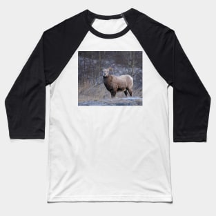 Rutting Ram Baseball T-Shirt